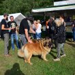 Sommertreffen 2019 - 097